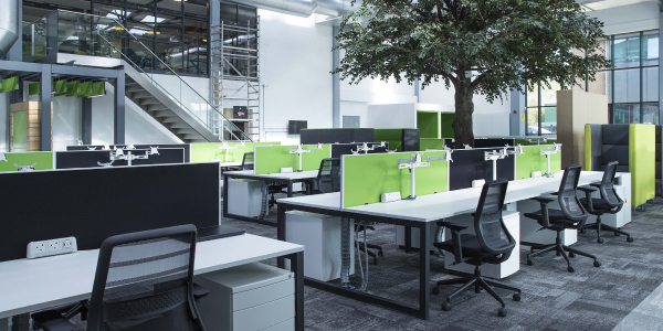 A commercial interior space designed in green and white decor with a tree in the middle suggested by architecture firm.