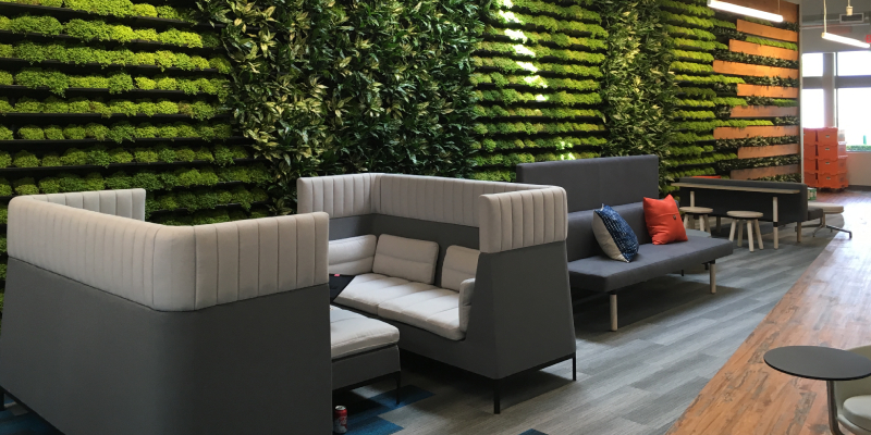 Garden Wall In Office Interior - Modern Waiting Hall Arrangemnt.